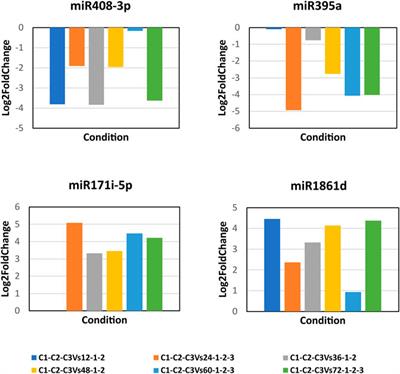 An Insight Into Pentatricopeptide-Mediated Chloroplast Necrosis via microRNA395a During <mark class="highlighted">Rhizoctonia solani</mark> Infection